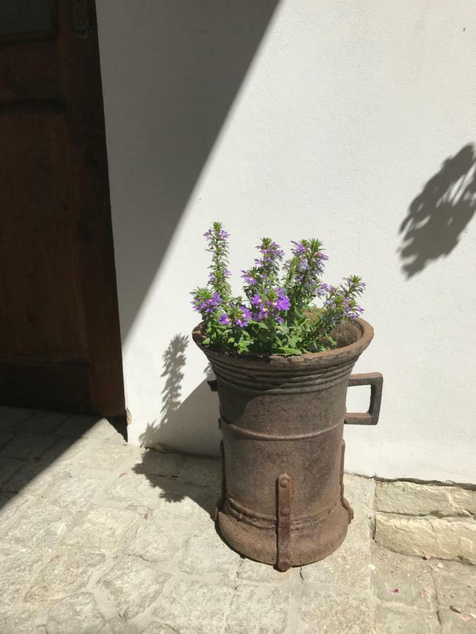 Budyne Apartment Budyne nad Ohri 외부 사진
